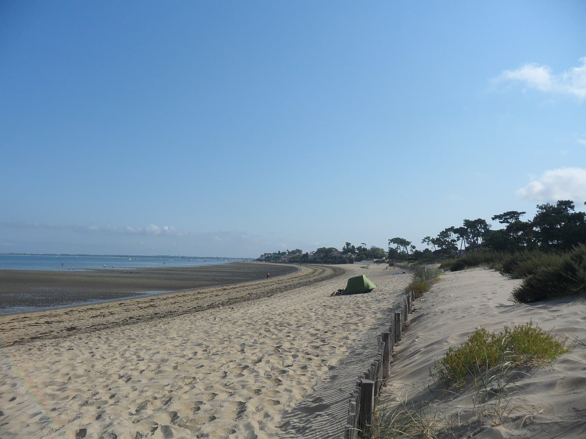 La plage de sable de Ronce-les-Bains à marée basse, bordée de ganivelles et de pins, avec les maisons du front de mer au loin