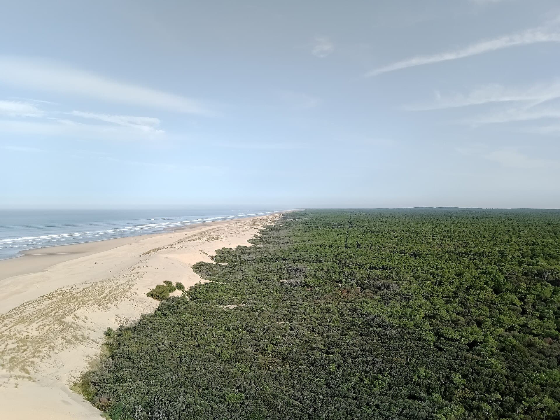 Vue plongeante sur la forêt de pins de la Coubre, la dune, la longue plage de sable et l'océan, à La Tremblade