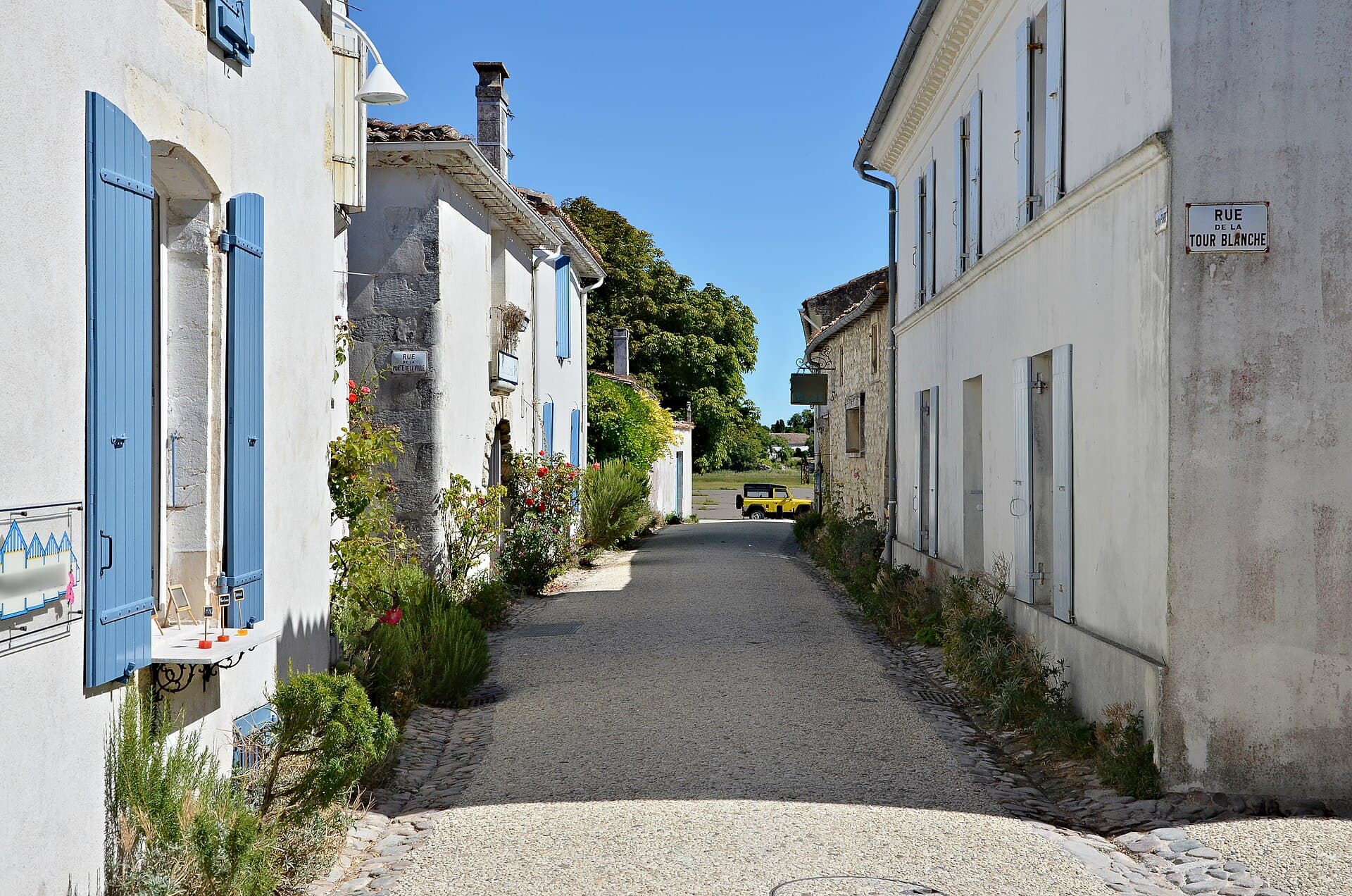 Ruelle pavée de Talmont-sur-Gironde bordée de maisons blanches aux volets bleus et de massifs fleuris, sous un ciel bleu