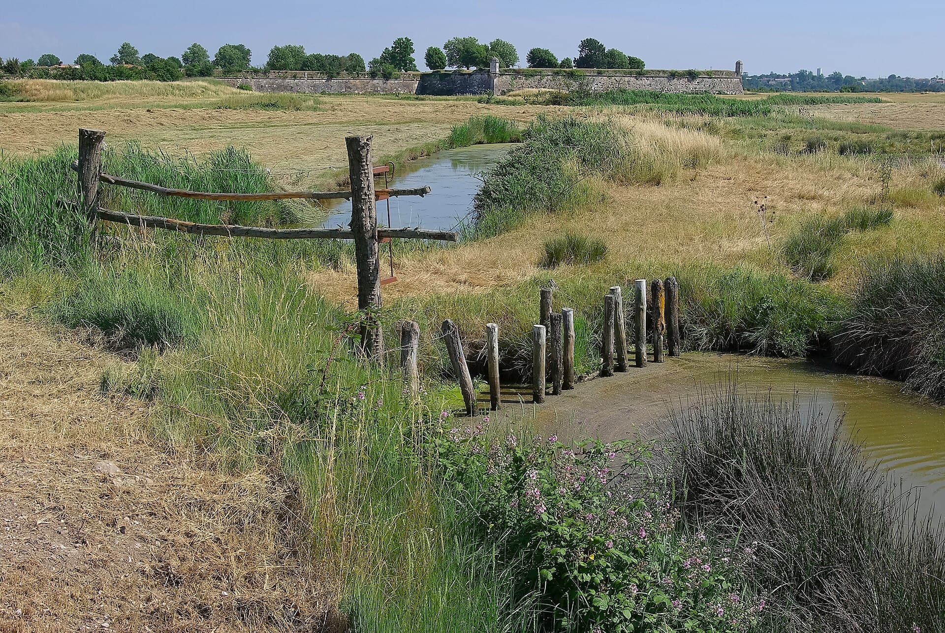 Prairies et chenaux du marais de Brouage sous un ciel clair, avec la ligne des remparts de la citadelle à l'horizon
