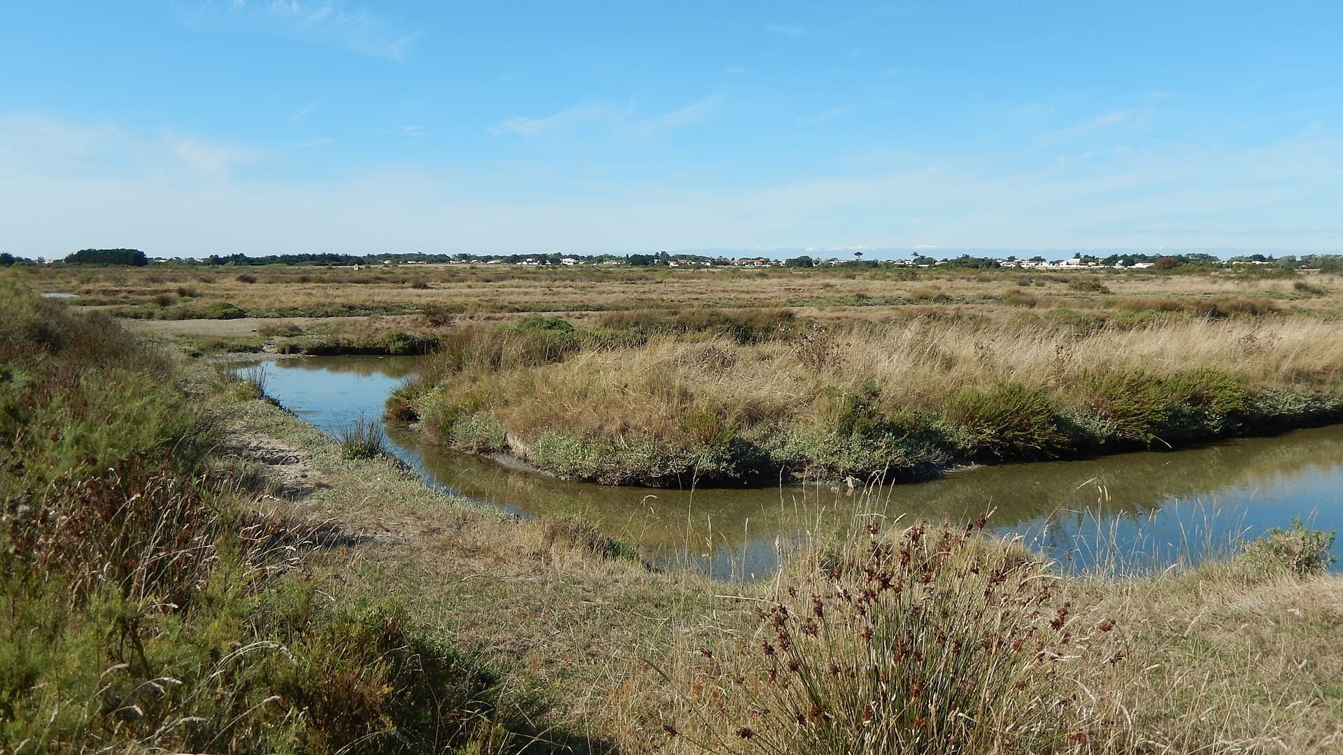 Chenaux d'eau serpentant entre des herbes de marais sous un grand ciel bleu, avec les toits d'un village à l'horizon