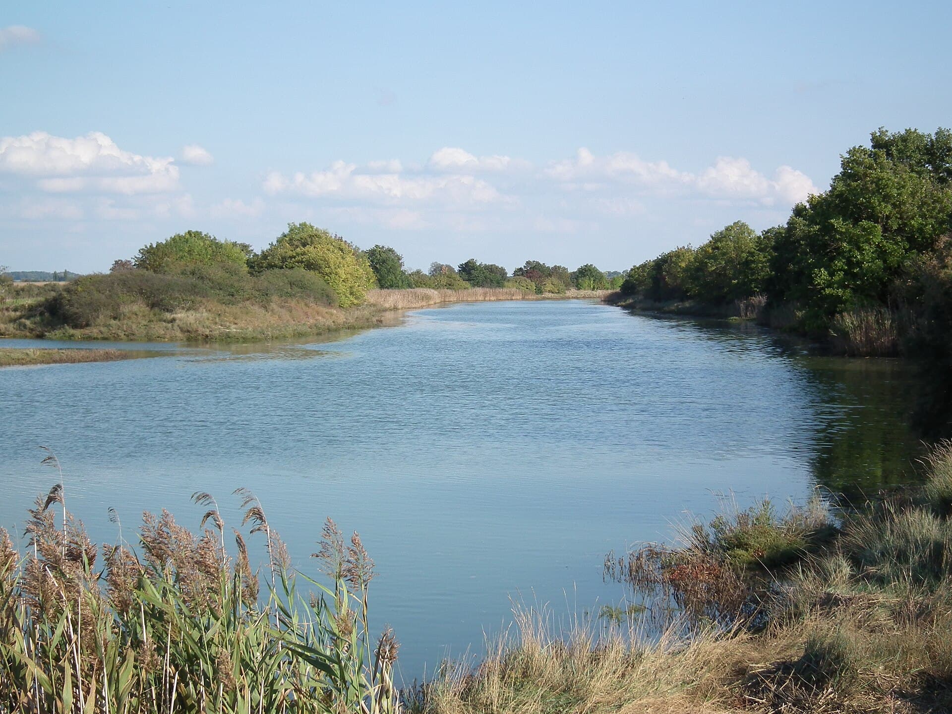 La Seudre s'écoulant entre ses rives bordées de roseaux et d'arbres, reflétant un ciel bleu parsemé de nuages