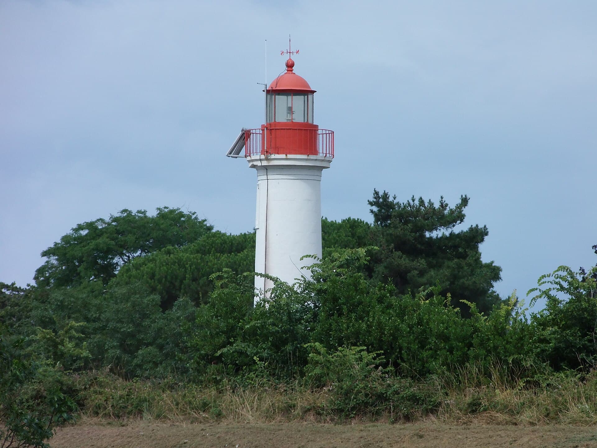 Le petit phare blanc à lanterne rouge du Château-d'Oléron, dressé au-dessus des pins et de la végétation du littoral, sous un ciel voilé.