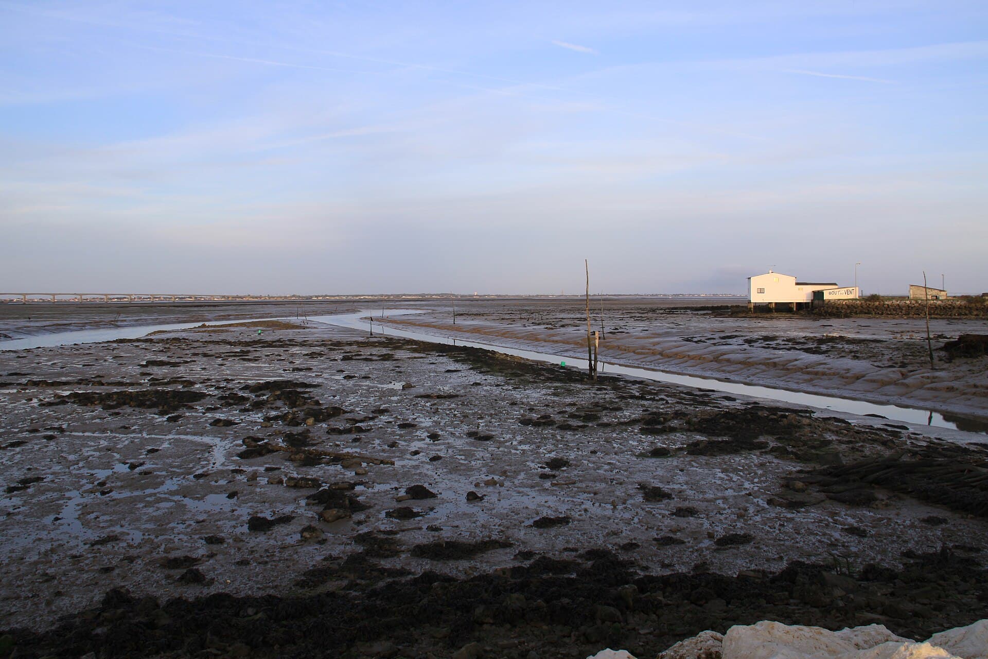 La rade de Saint-Trojan-les-Bains à marée basse, ses chenaux balisés de perches de bois et une cabane ostréicole blanche au bord de l'eau