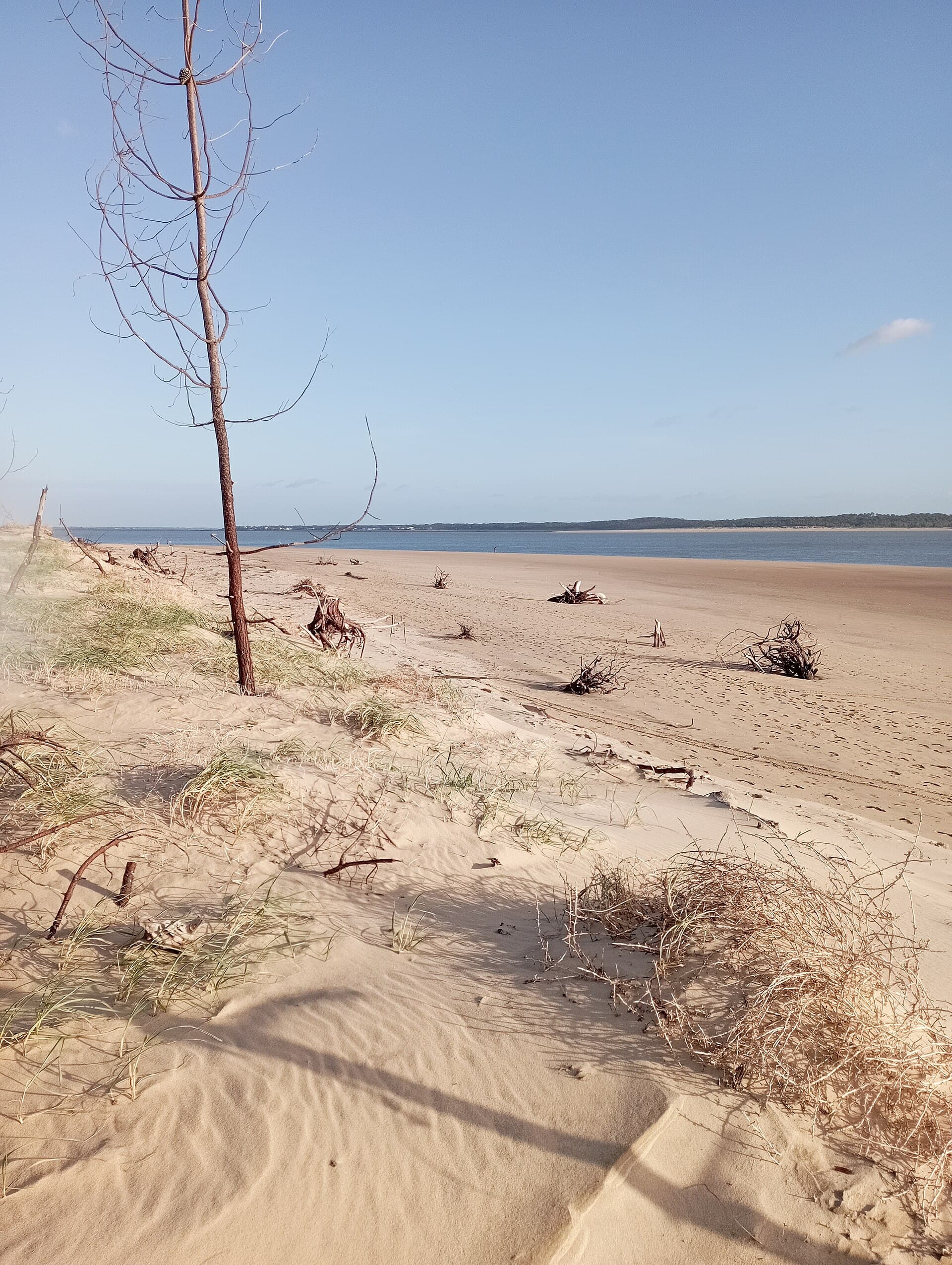 La plage de Gatseau sur l'île d'Oléron, dune couverte d'oyats et sable ondulé descendant vers une mer calme, en fin de journée.