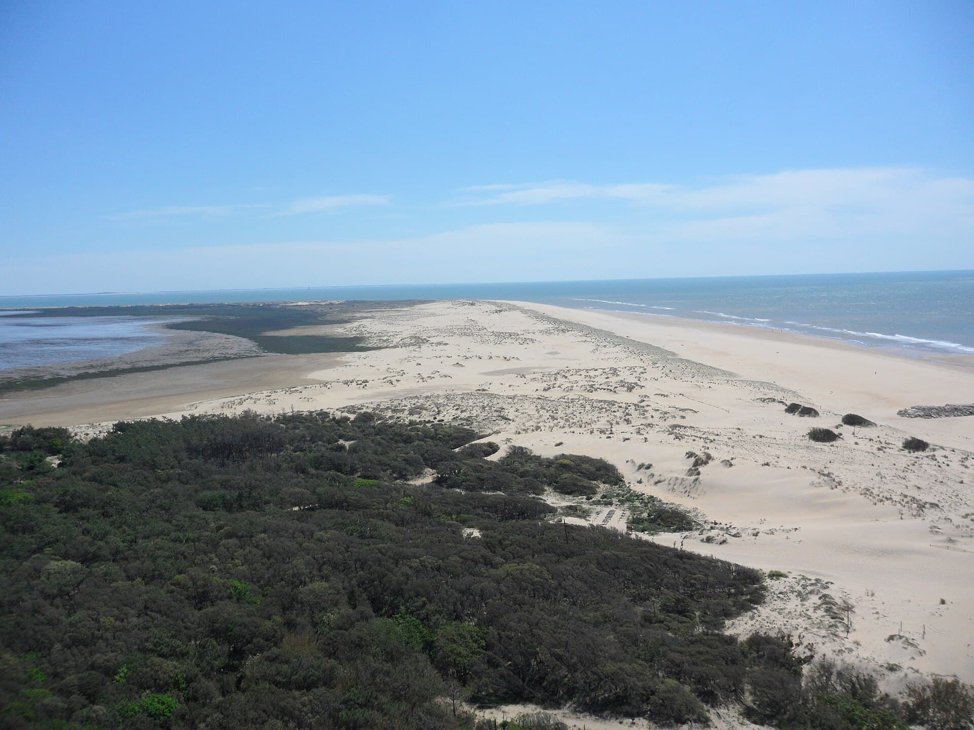 Vue en hauteur sur la pointe de la Coubre : la forêt de pins, le cordon de dunes blanches et la longue plage de la côte sauvage bordée par l'océan sous un ciel bleu.